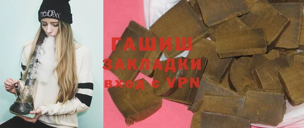 МДПВ Бородино