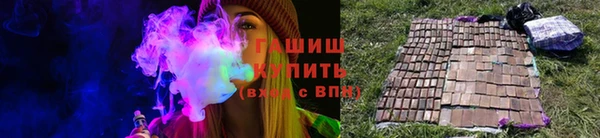МДПВ Бородино