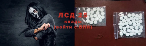 МДПВ Бородино