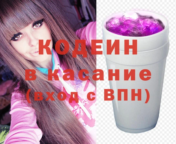 МДПВ Бородино