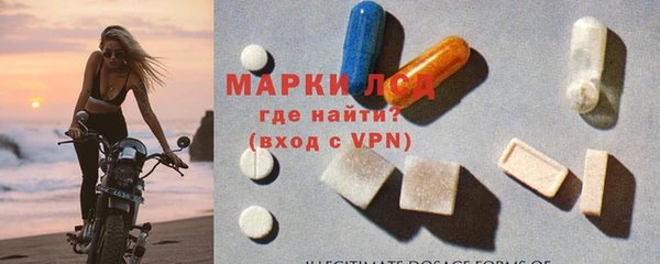 МДПВ Бородино