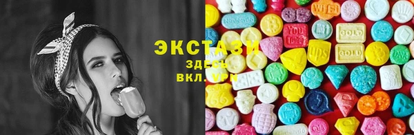 МДПВ Бородино