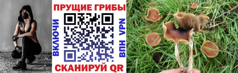 Галлюциногенные грибы мицелий Дербент